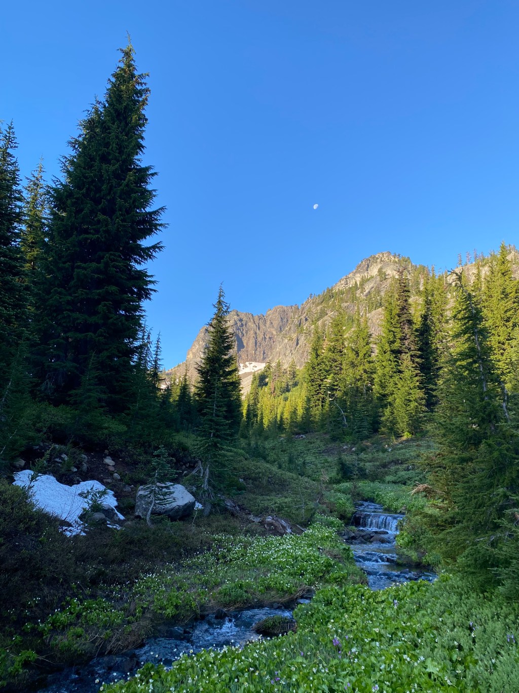Oregon PCT Lash Day 2…  Eileen Lake to North Matthieu Lake (13.4&nbsp;Miles)