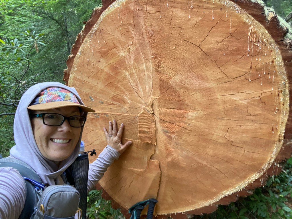 Oregon PCT Lash Day 7… Somewhere in Warm Springs to Timothy Lake! (15.3&nbsp;Miles)